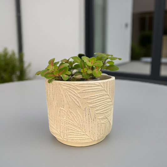 Maceta chica Liana
