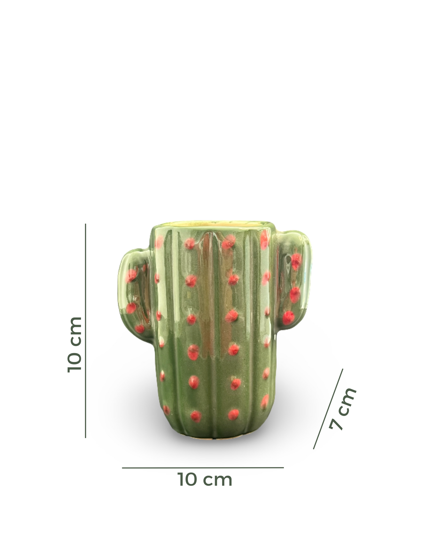 Florero Cactus