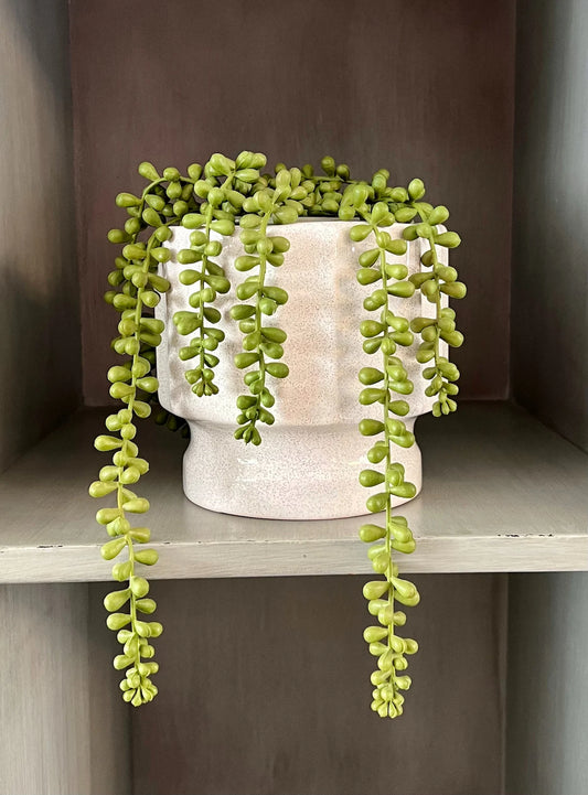 Maceta mediana Cáliz