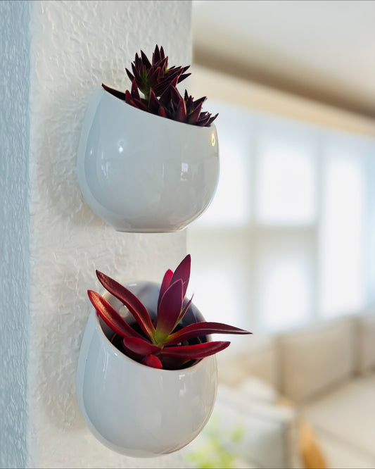 Dúo de Macetas chicas Gota