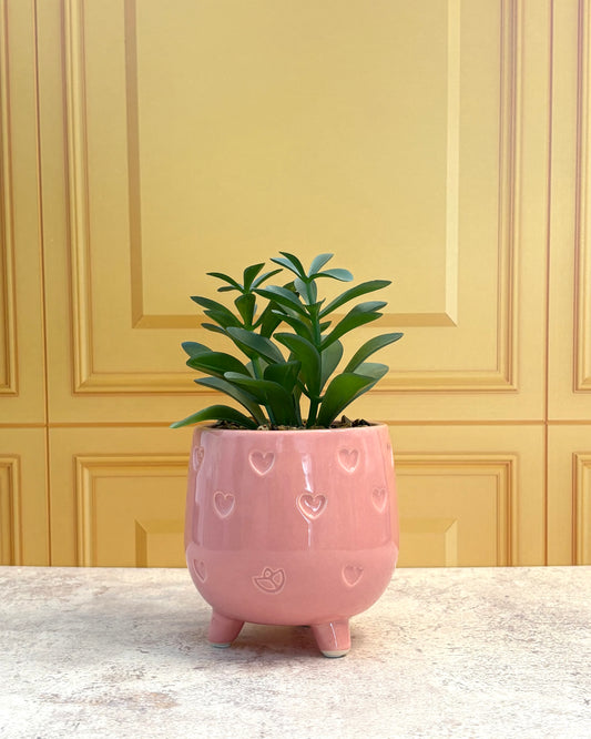 Maceta de cerámica con planta artificial Sweet