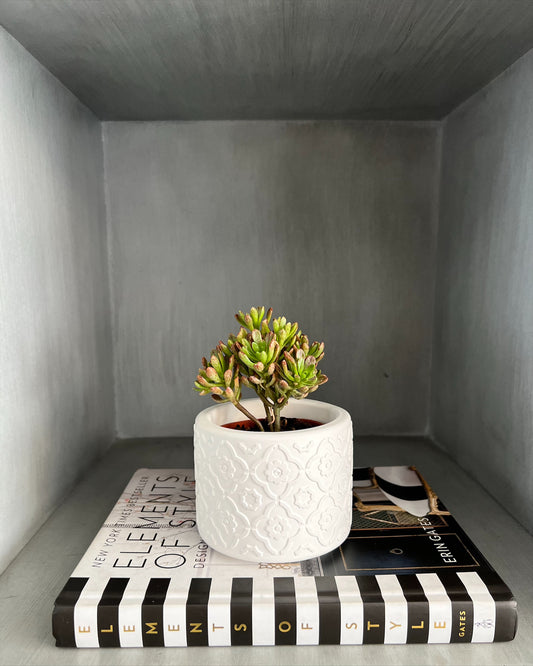 Maceta mini Marroquí