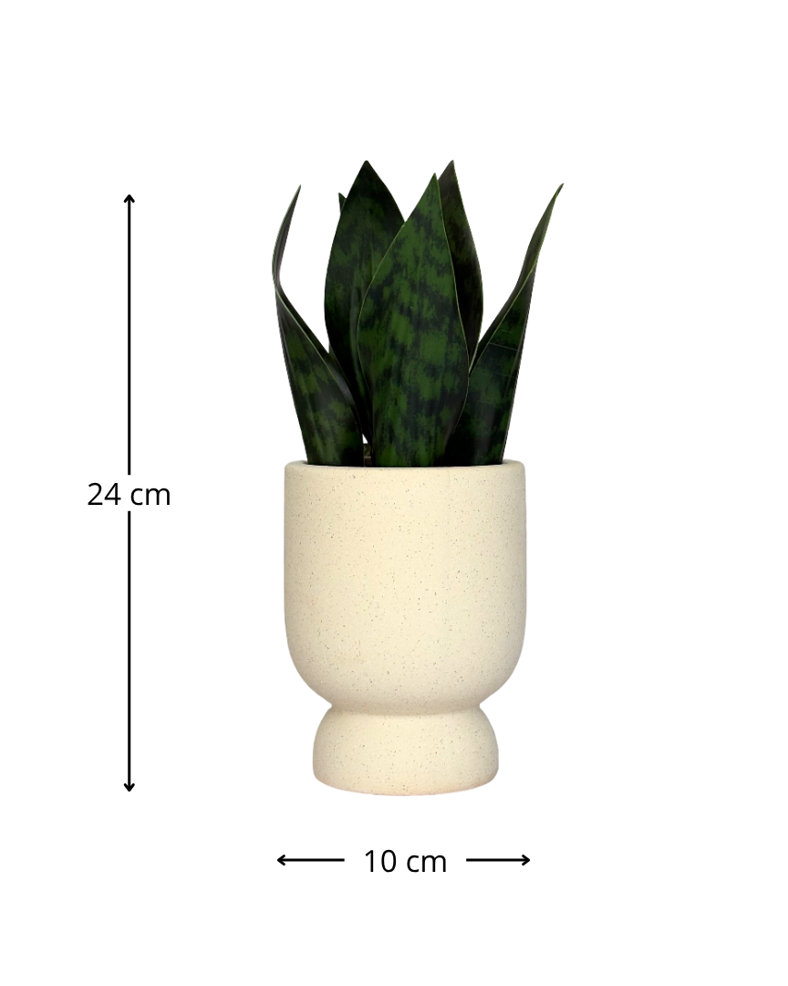 Maceta de cerámica minimalista con planta artificial