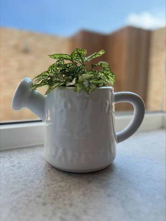 Maceta mediana Rosalie