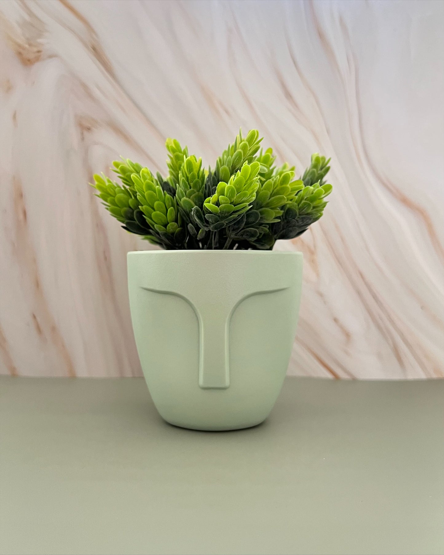 Maceta con planta artificial Rostro Verde