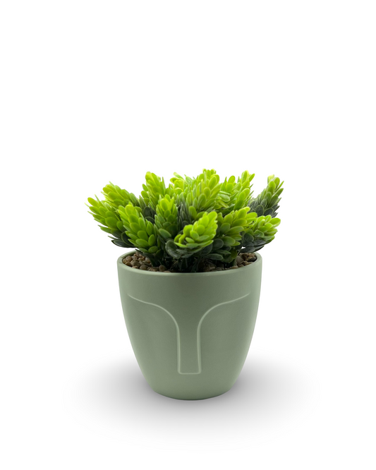Maceta con planta artificial Rostro Verde