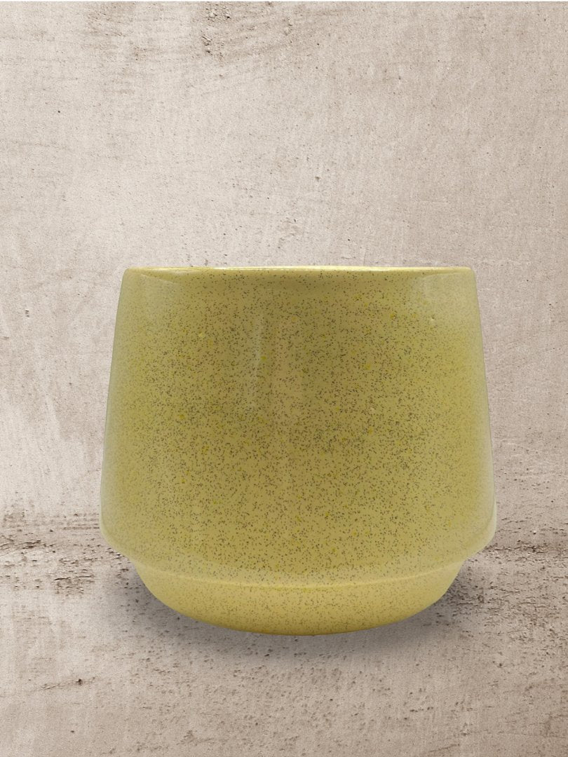 Colección Minimalistas