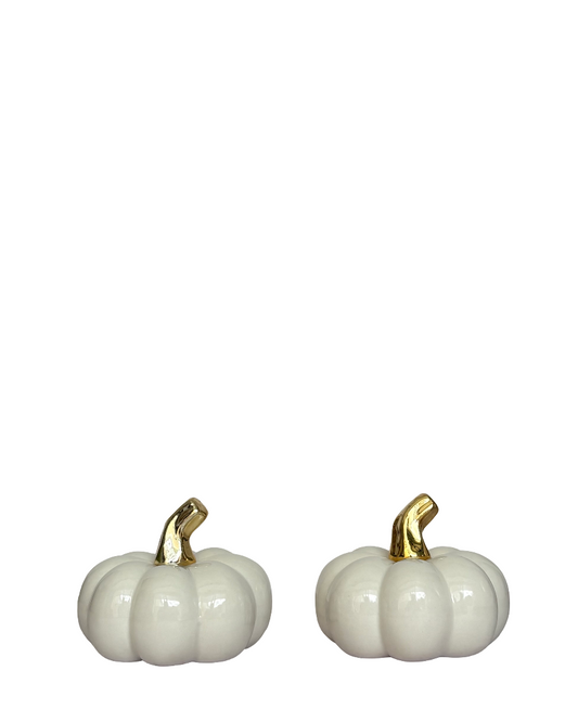 Set de calabazas otoño