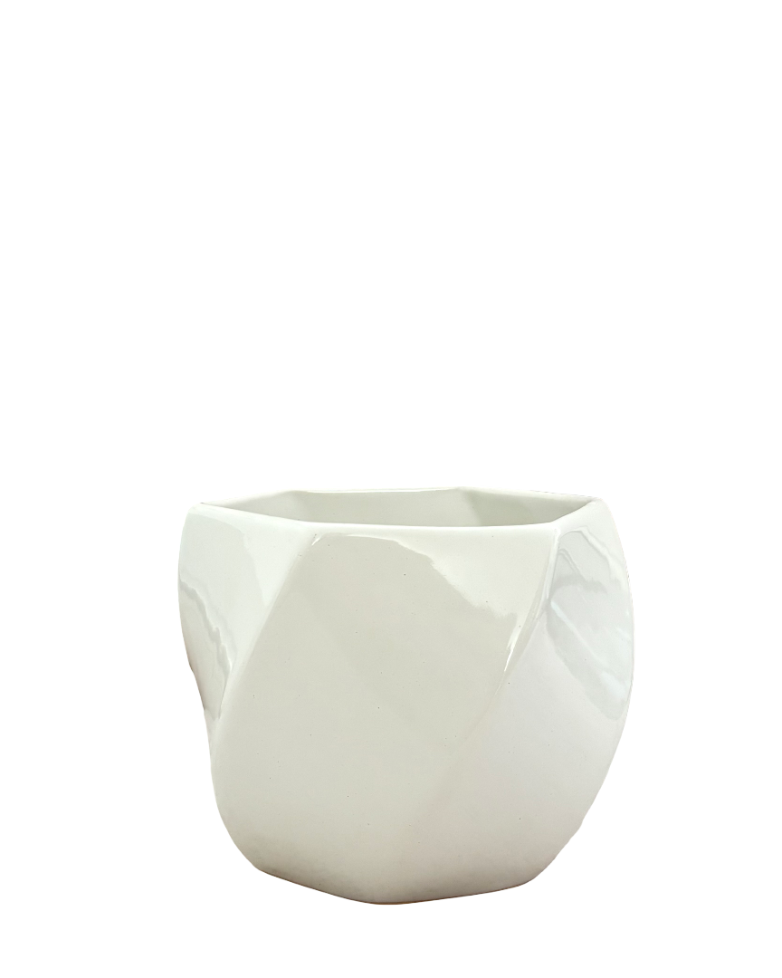 Maceta de cerámica contemporánea