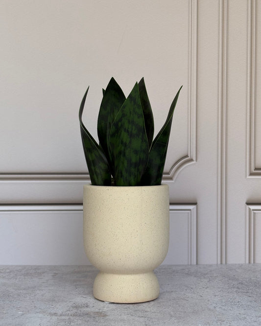 Maceta de cerámica minimalista con planta artificial