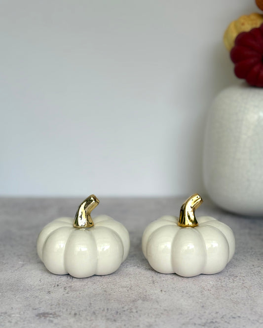 Set de calabazas otoño