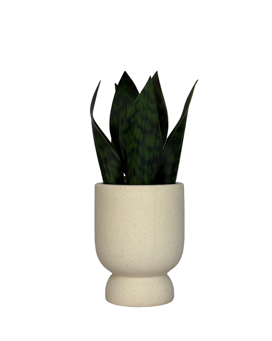 Maceta de cerámica minimalista con planta artificial