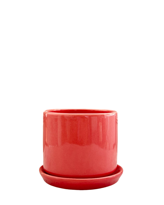 Maceta de cerámica rosa con plato