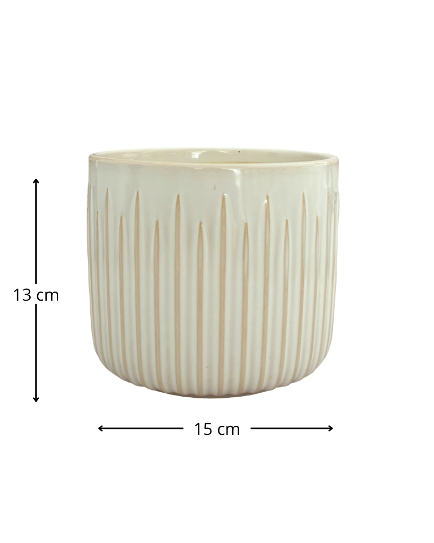 Maceta de cerámica blanca con relieve de líneas