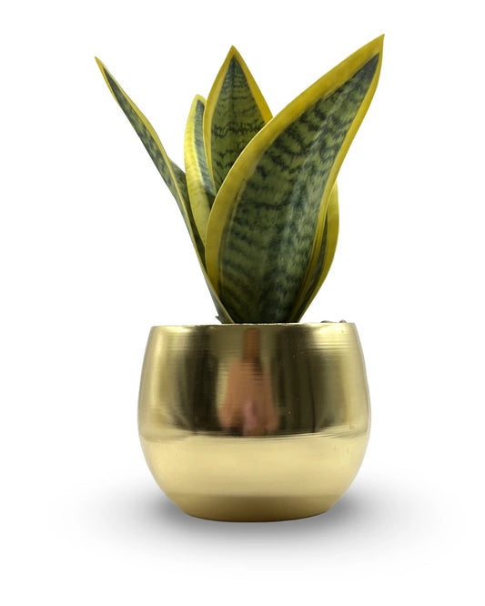 Maceta chica con planta artificial Romi