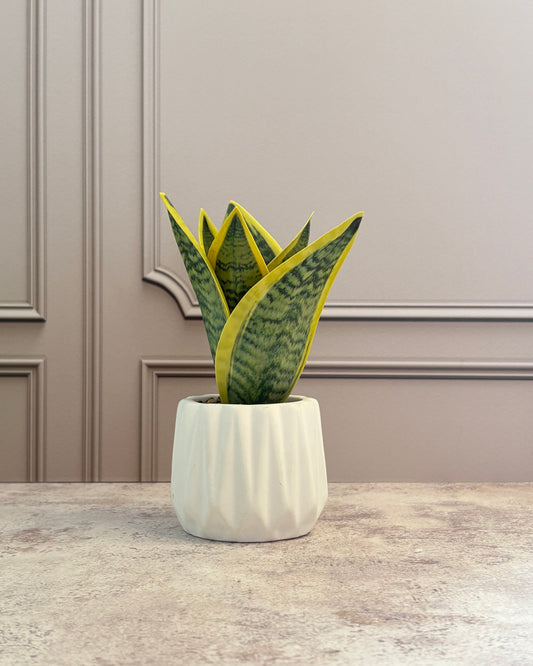 Maceta chica con planta artificial Sanse