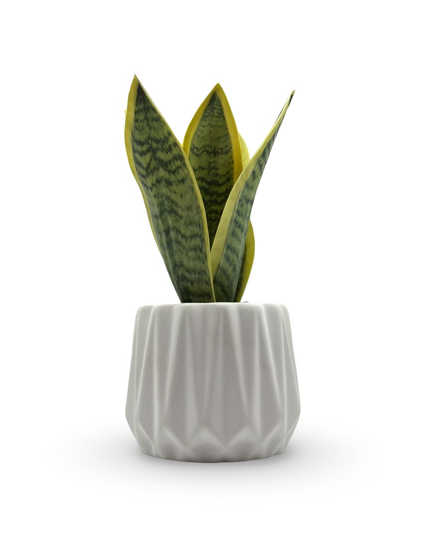 Maceta chica con planta artificial Sanse