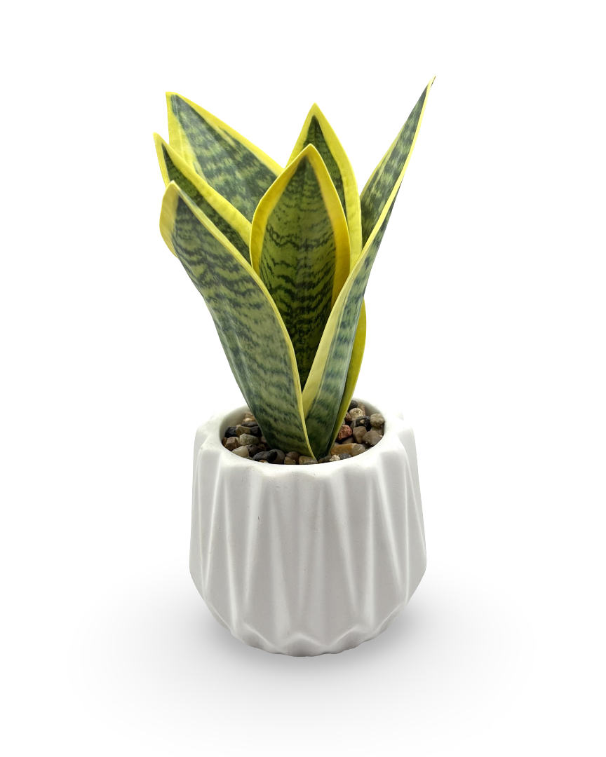 Maceta chica con planta artificial Sanse