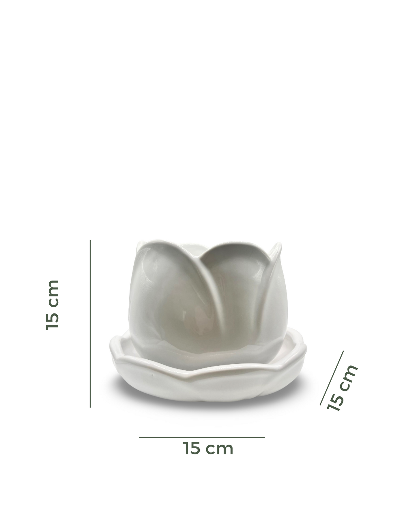 Maceta mediana Tulipán