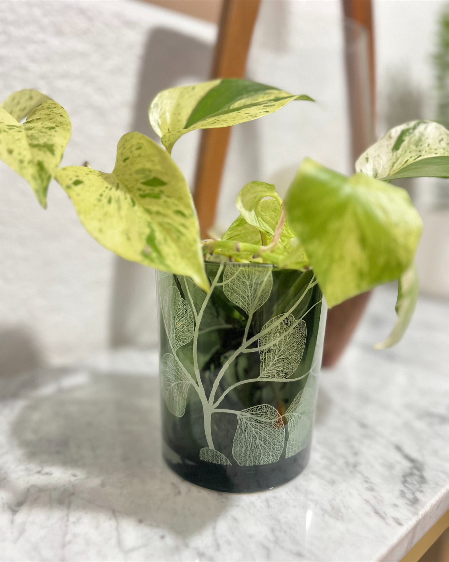 Florero Verla