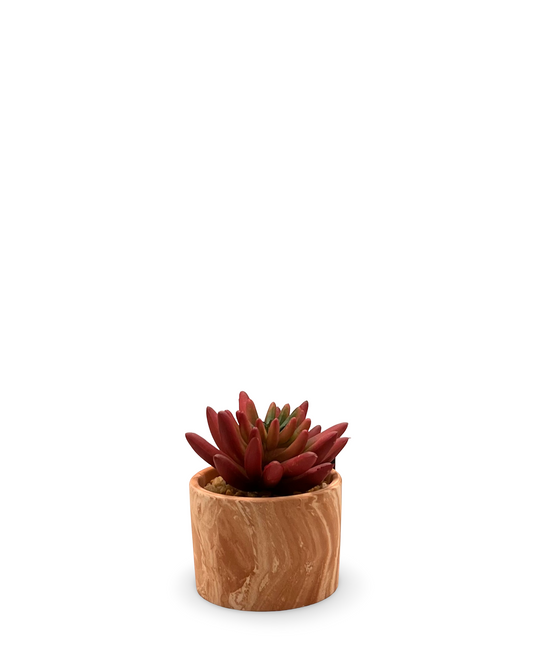Maceta mini con suculenta artificial Veta