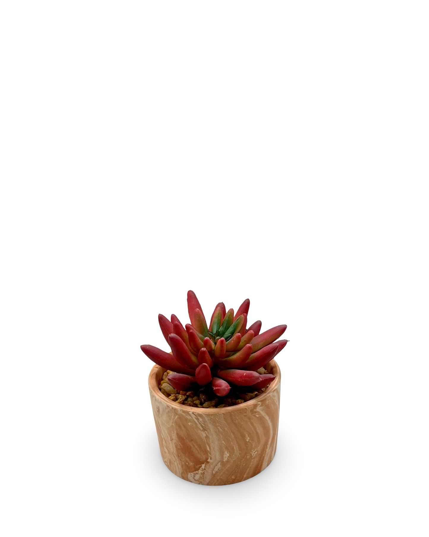 Maceta mini con suculenta artificial Veta