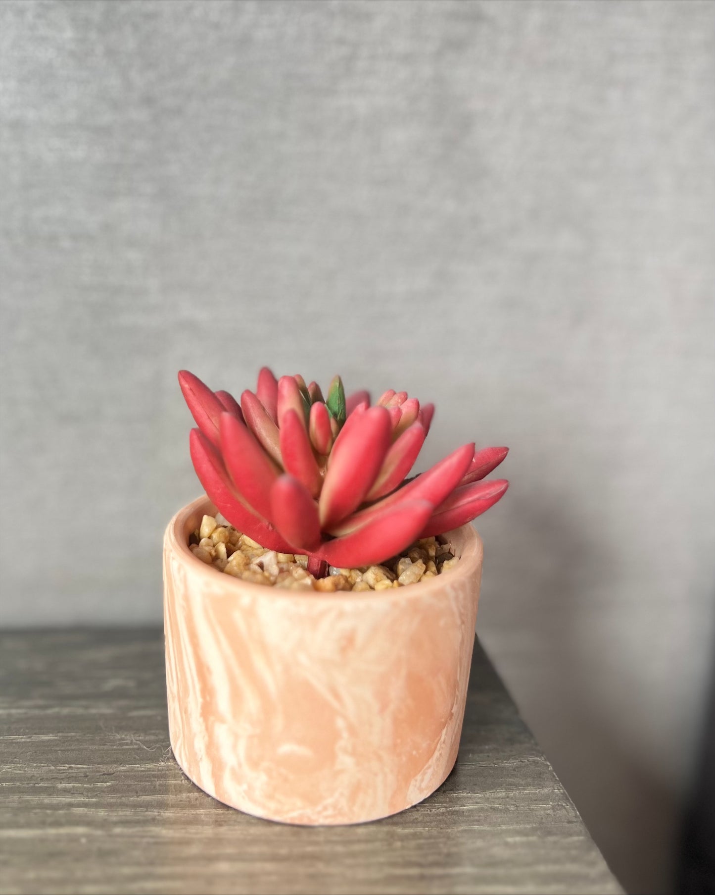 Maceta mini con suculenta artificial Veta