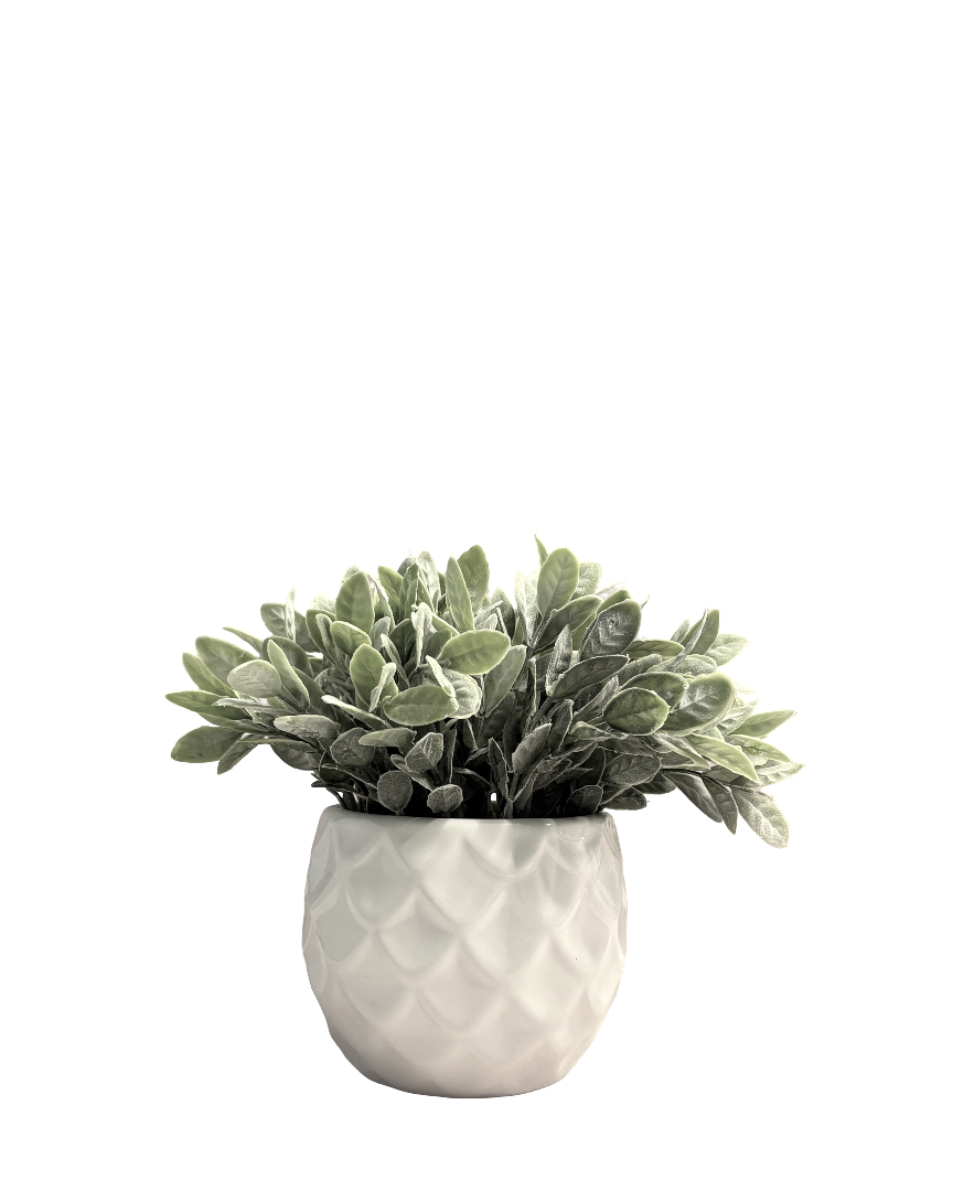Maceta de cerámica con planta decorativa Sirena