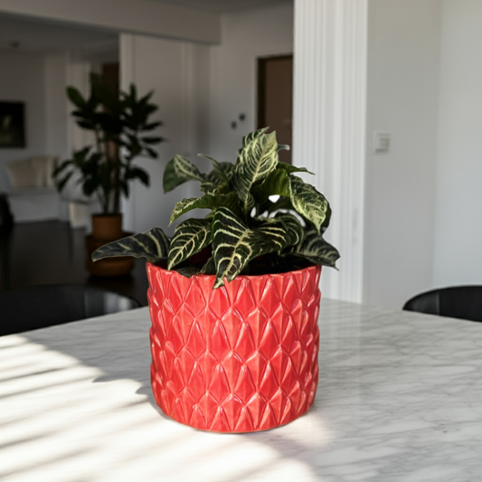 Maceta mediana Sakana