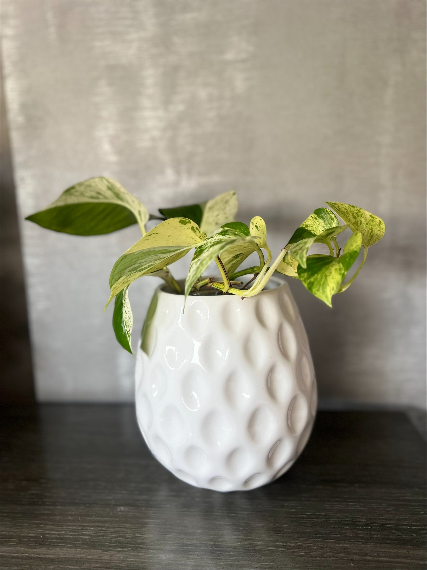 Maceta mediana Luna